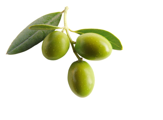 OLIVE